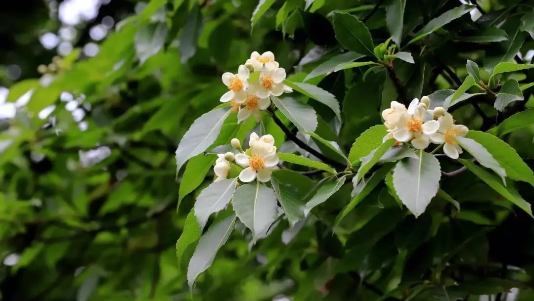 恒达登录 上半年