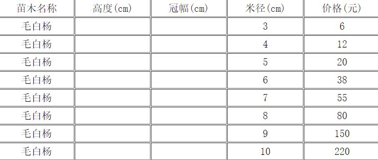 恒达招商 天津毛白杨在