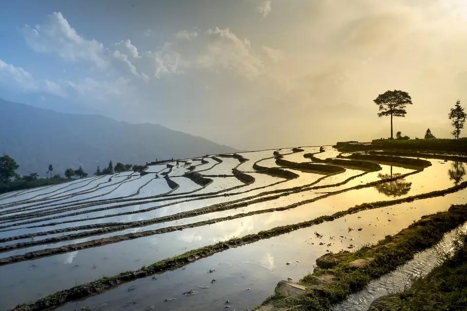 恒达平台登录 土地资源有