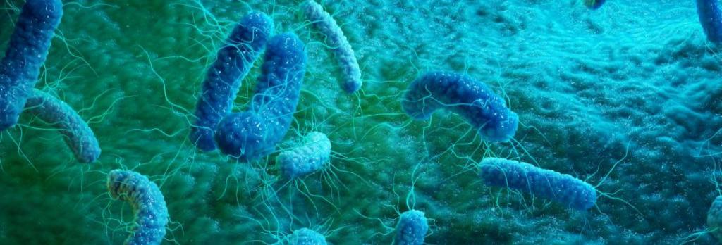 恒达平台 世界抗生素意识周:关注微生物的反叛