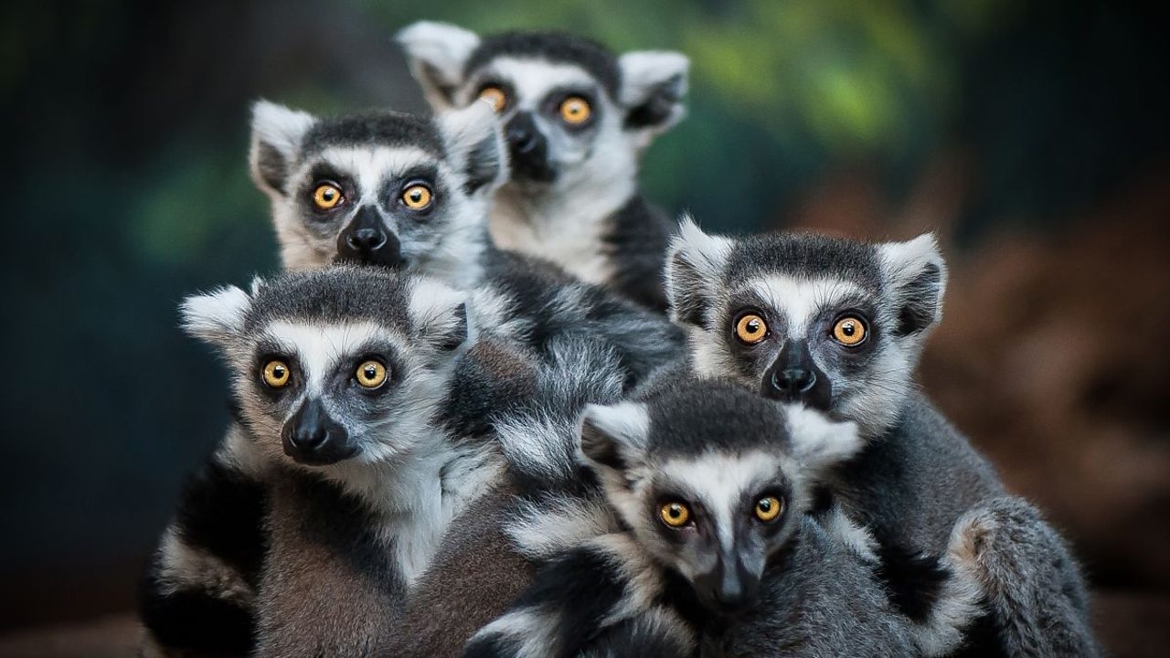 傲世皇朝app 融入你的生活!