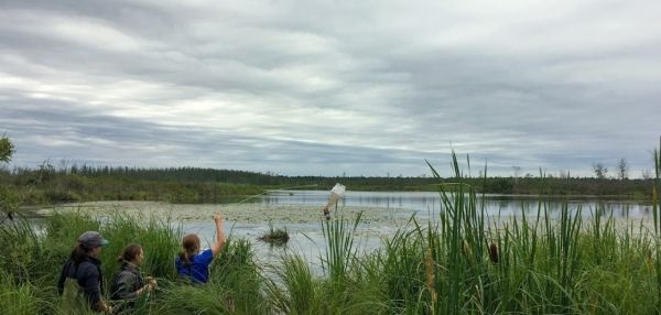 恒达网址 辅导工作:教师常年与苏必利尔湖合作