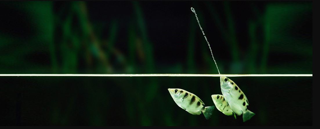 恒达登录连接 表现焦虑