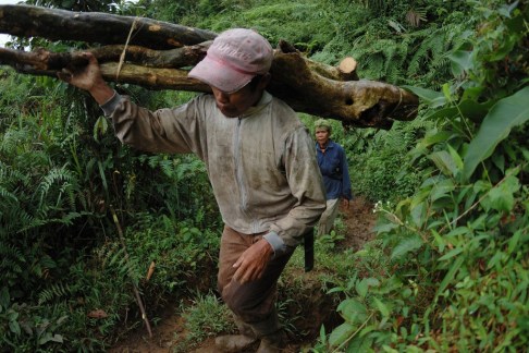 恒达平台 阻止伙伴关系:木材公司和土著团体争夺土地