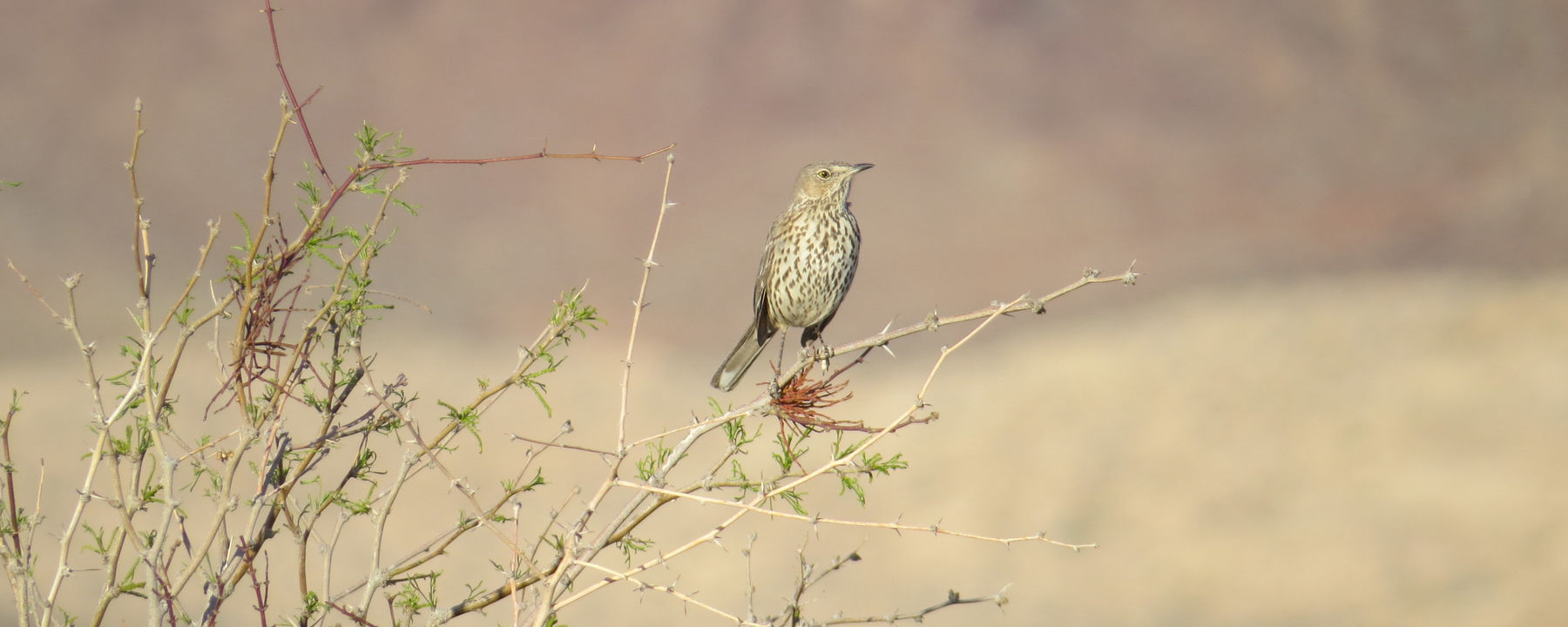 恒达登录网址 一落千丈