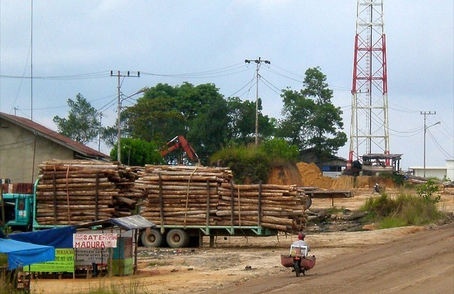 恒达总代理研究显示，新的策略缓解了印尼种植园使用的冲突