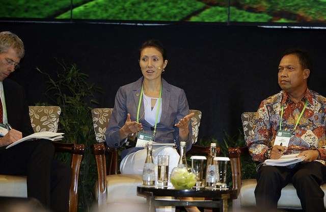 恒达代理新技术，更好地利用地图来保护印尼的森林