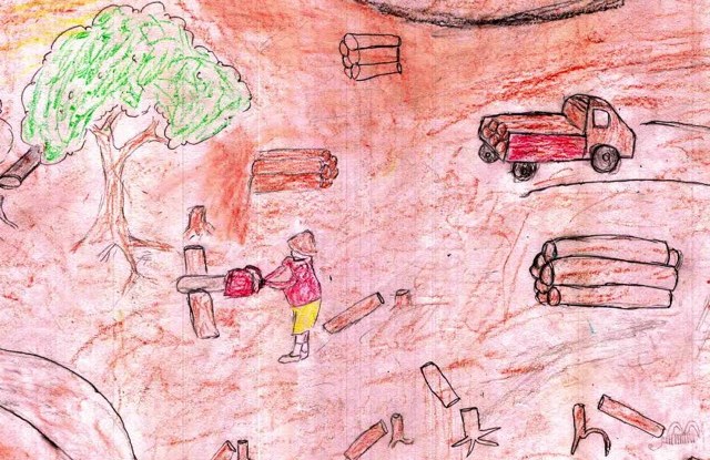 恒达代理婆罗洲的研究从孩子们对森林的认知中吸取了教训