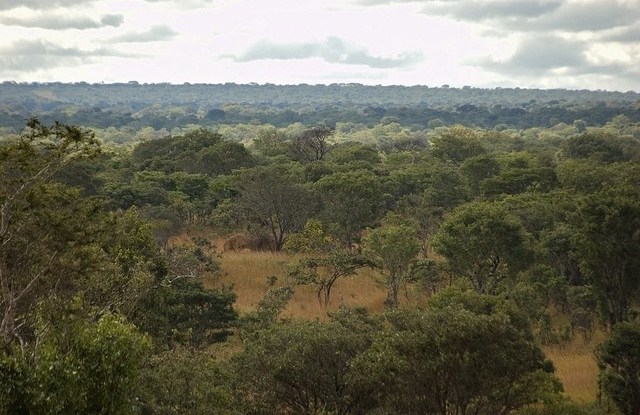 恒达总代理中国在非洲的影响力日益增强，为非洲自然资源管理者敲响了警钟