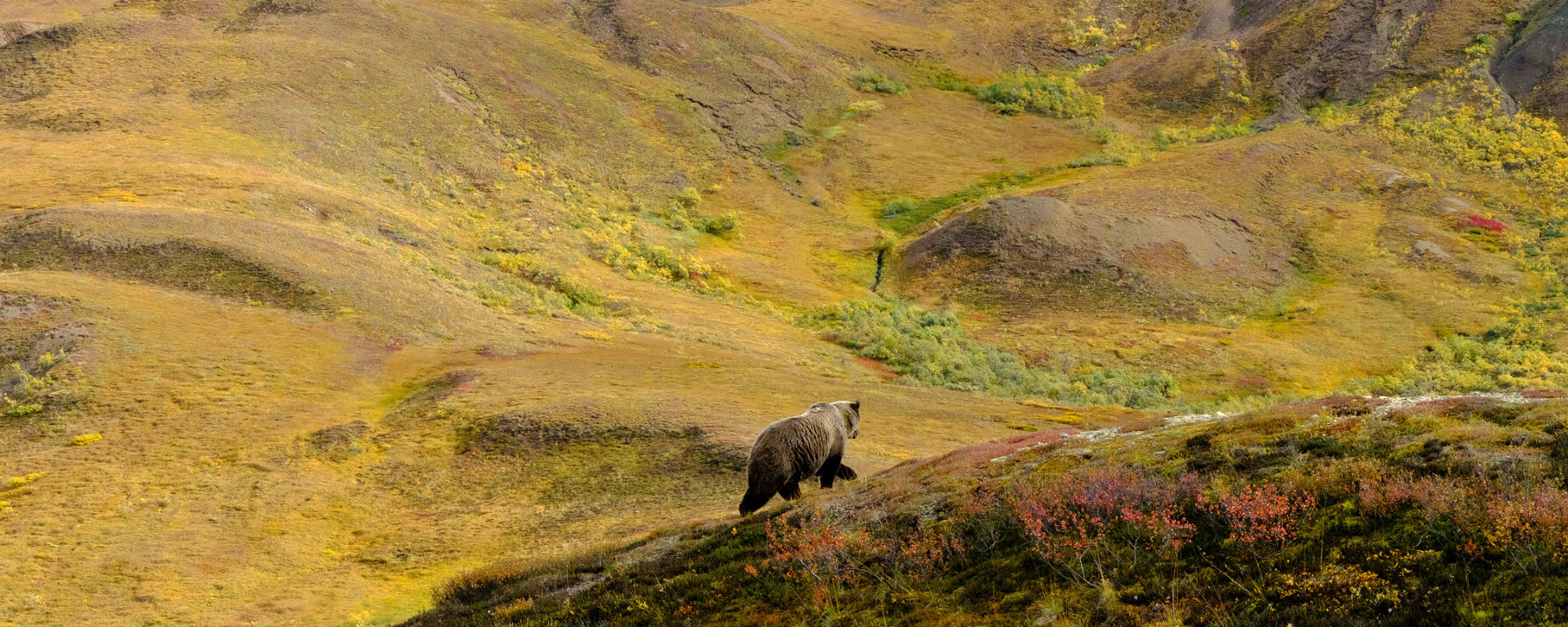 恒达登录连接国会考虑修改濒危物种法案